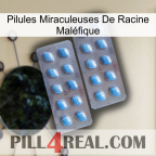 Pilules Miraculeuses De Racine Maléfique viagra4